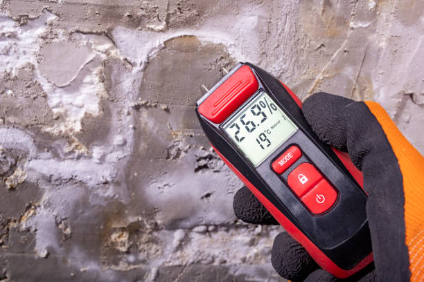 Best Mold Testing and Removal  in Harb, OR