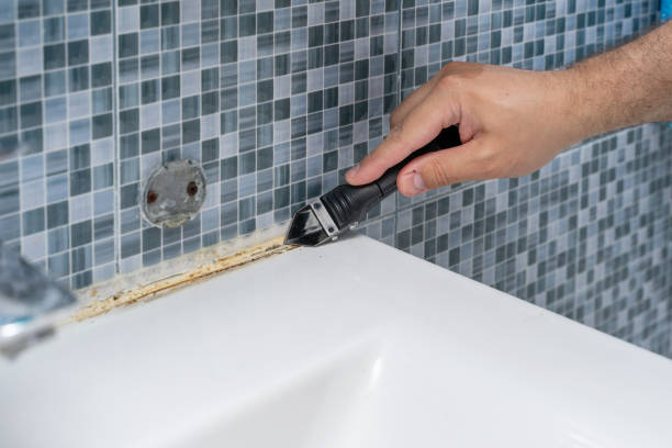 Home Mold Removal in Harbor, OR
